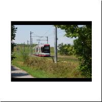 2014-07-17 3 Doblerholz 070.jpg